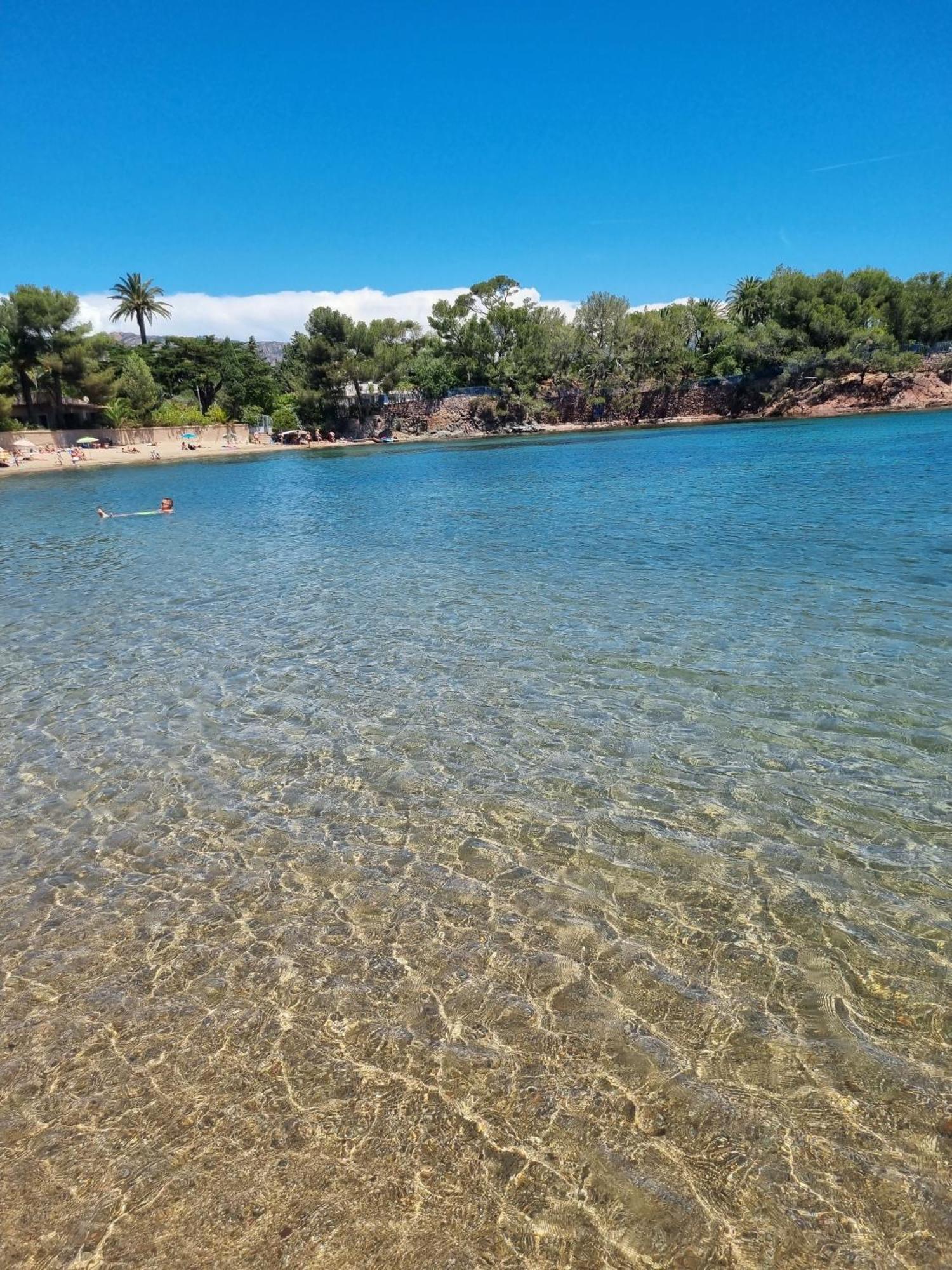 Studio 4P Vue Piscine St Raphael Valescure - Au Coeur Des Golfs Saint-Raphaël Exteriör bild