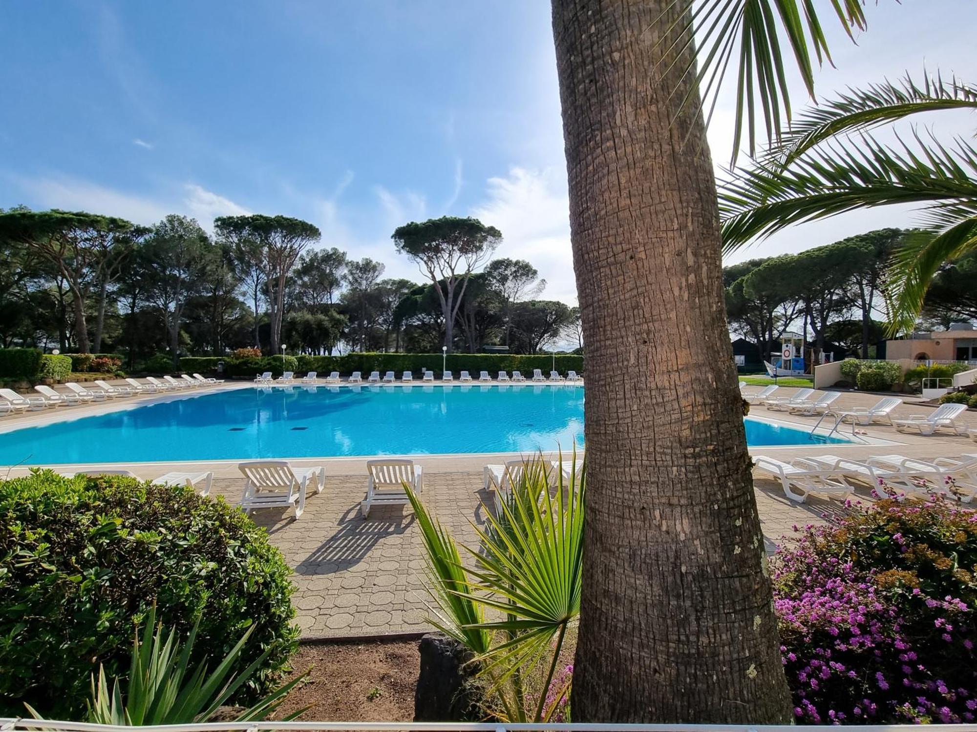 Studio 4P Vue Piscine St Raphael Valescure - Au Coeur Des Golfs Saint-Raphaël Exteriör bild